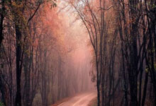 同城视频聊天能让孤独变得轻松，这是现代人缓解孤单的好方法。通过视频和同城的人聊天，你可以找到共鸣，分享生活，不再感到寂寞。现在，越来越多的人开始尝试这种方式，把孤独变成轻松，让日子过得更有趣。