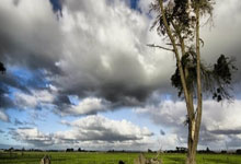 中年男视频聊天要展现真实可靠，关键就三点：态度真诚点，形象稳重点，说话清楚点。别整那些虚的，直接让对方感觉你是个实在人，聊天自然就靠谱了。记住，真实感不是装出来的，而是从细节里透出来的。