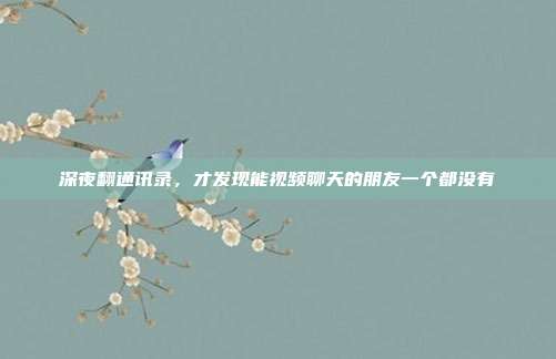 深夜翻通讯录，才发现能视频聊天的朋友一个都没有